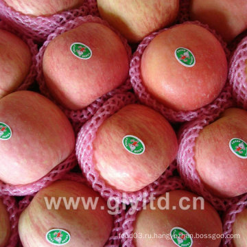 Свежие FUJI, Huaniu, Gala, Golden, Qinguan Apple